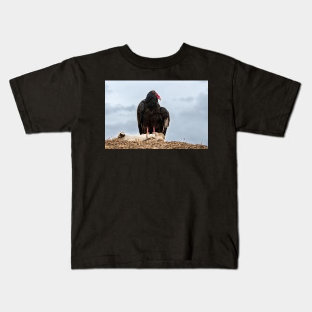 Turkey buzzard Kids T-Shirt by gdb2